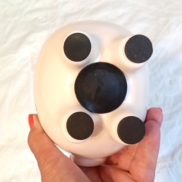 Saskatchewan Roughriders CFL Ceramic Piggy Coin Bank - Picture 4 of 9